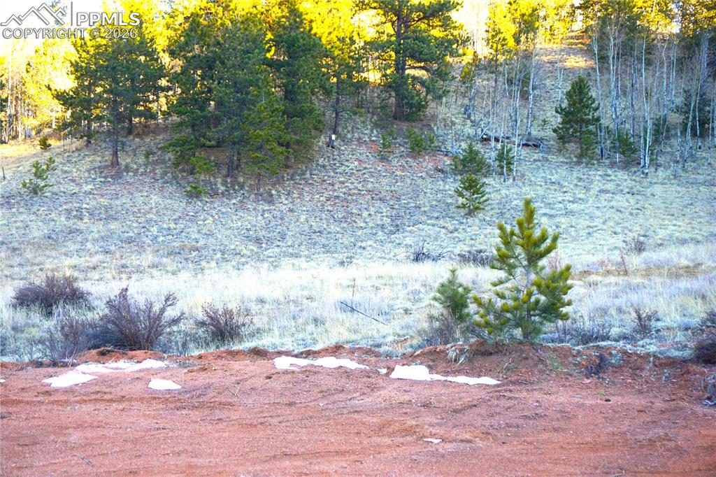 Image 5 of 11: No Description Available