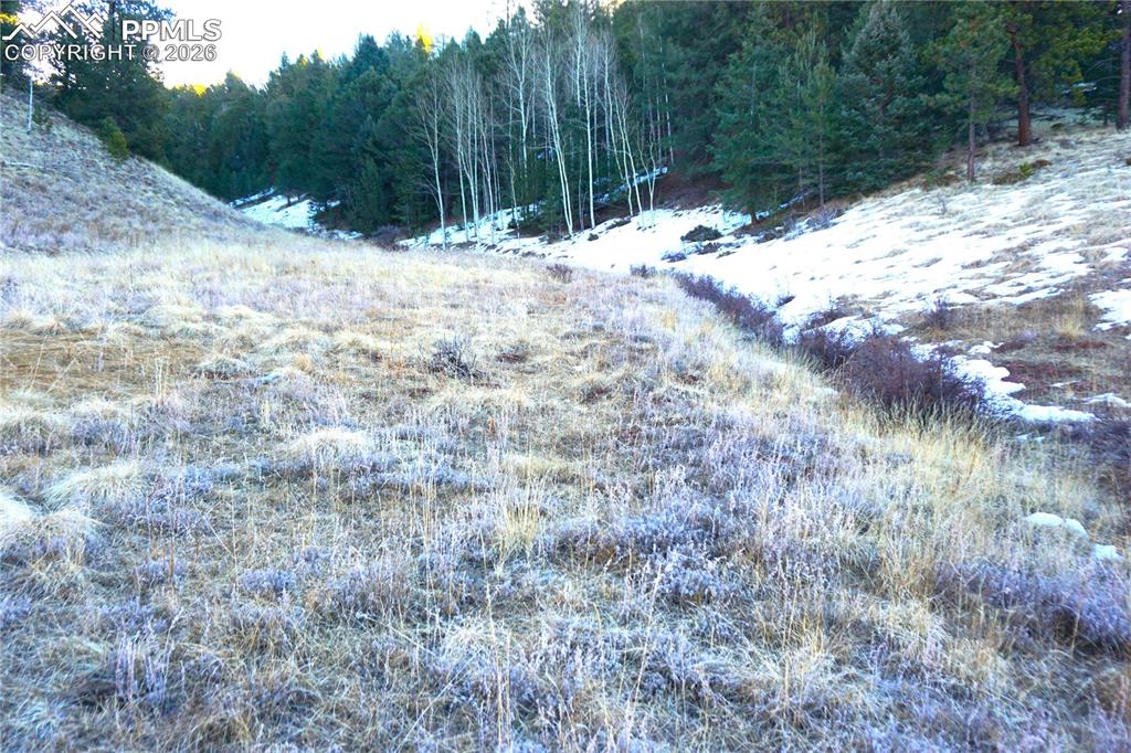 Image 6 of 11: No Description Available