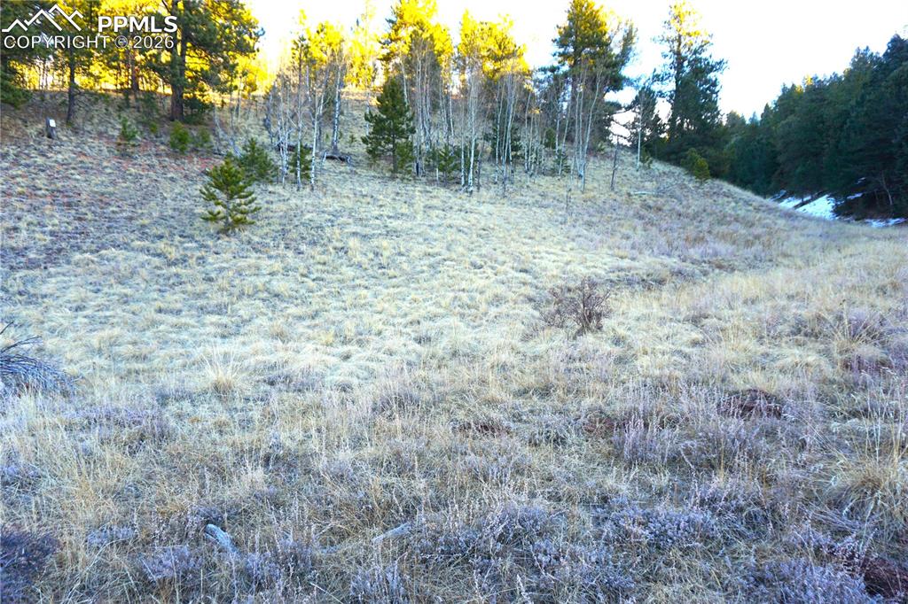 Image 7 of 11: No Description Available