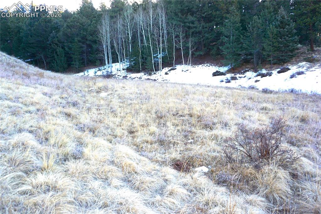 Image 8 of 11: No Description Available