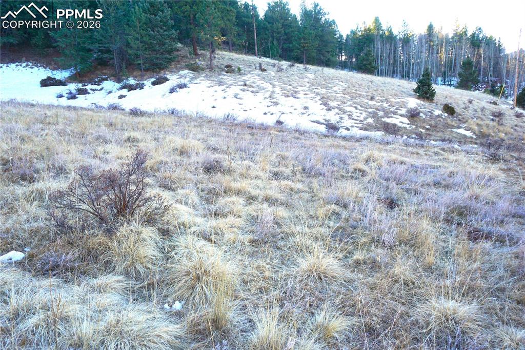 Image 9 of 11: No Description Available