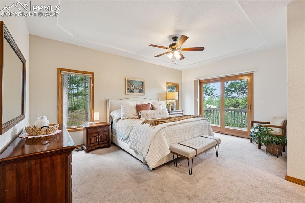 Image 19 of 39: Primary Bedroom featuring access to exterior, light colored carpet, and a c