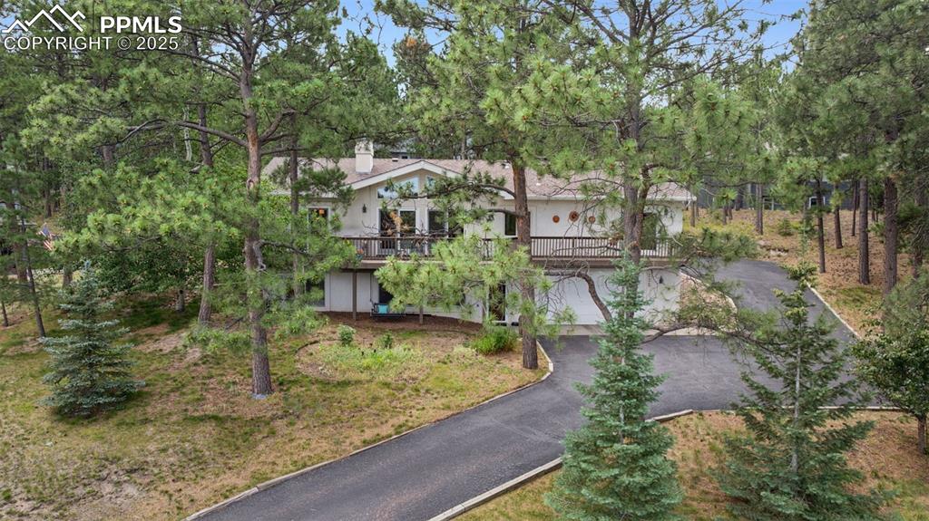 Image 39 of 39: Surrounding community with driveway and view of wooded area
