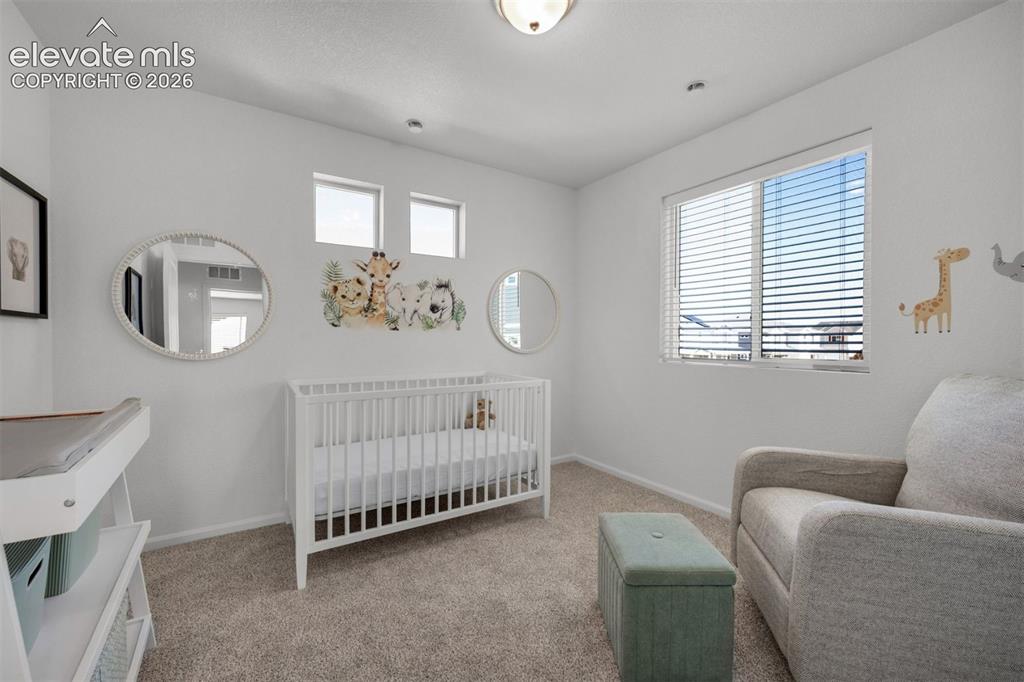 Image 25 of 35: Carpeted room with a ceiling light fixture
*photos of a model home*