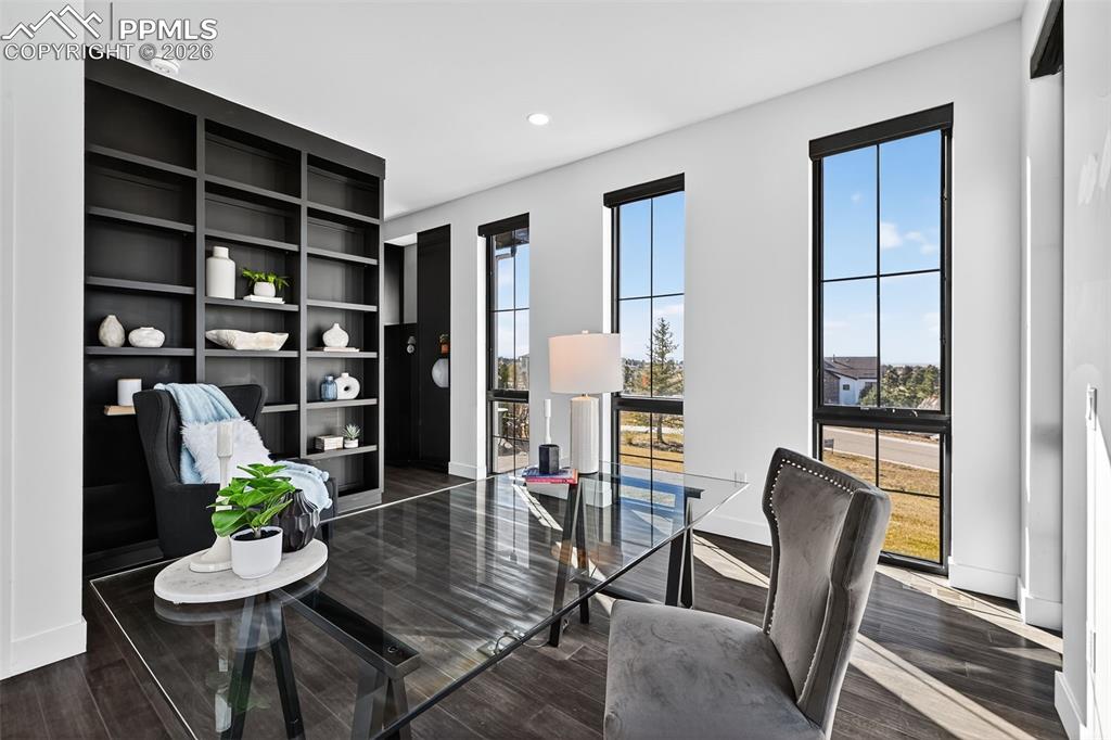 Image 21 of 44: Built-ins in office