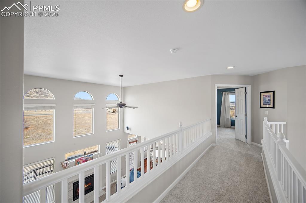 Image 20 of 44: Other