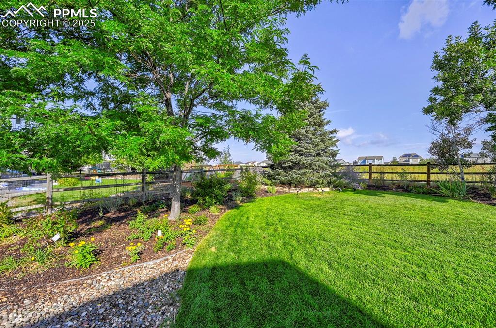 Image 41 of 48: Yard