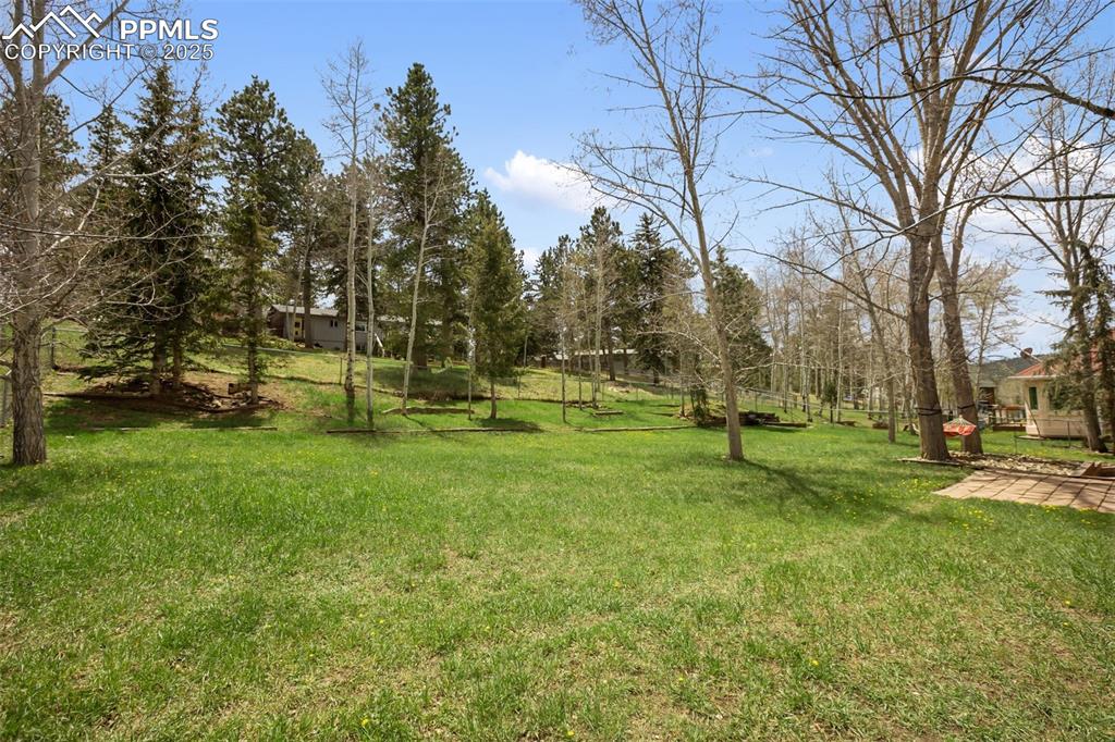 Image 6 of 42: Yard