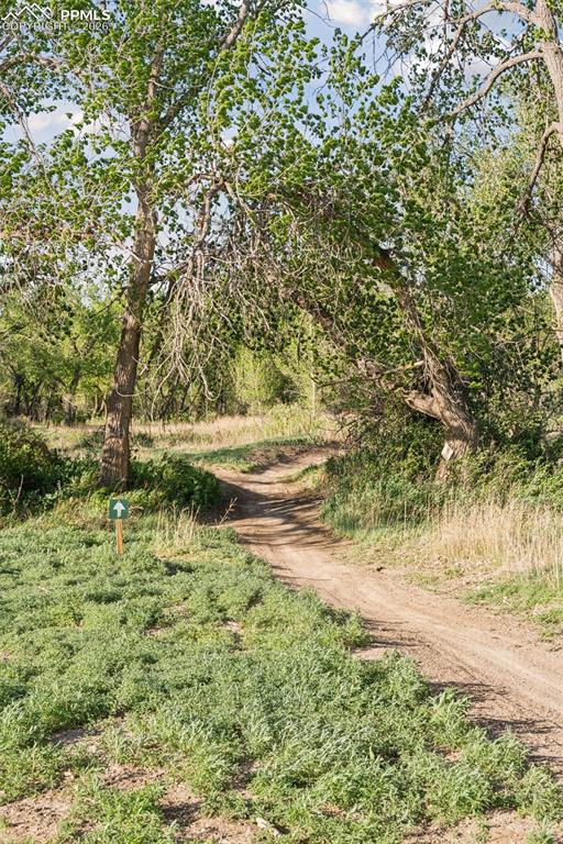Image 37 of 49: Marked trail paths that wind into a mature cottonwood forest