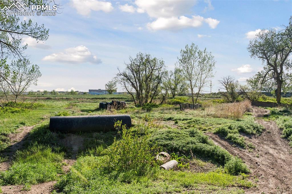 Image 38 of 49: Random obstacles along the trail