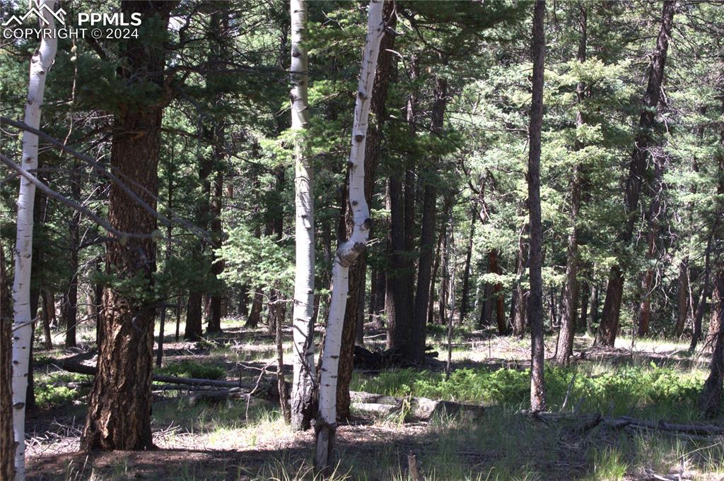 Image 10 of 21: Other
