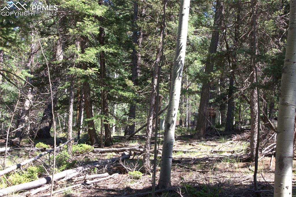 Image 14 of 21: Other