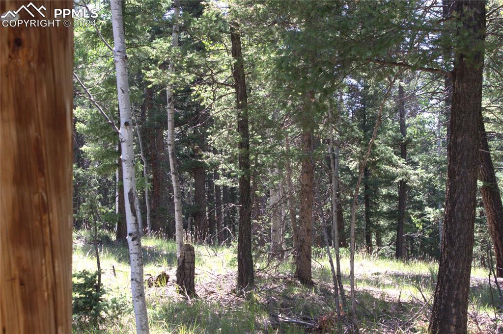 Image 6 of 21: Other