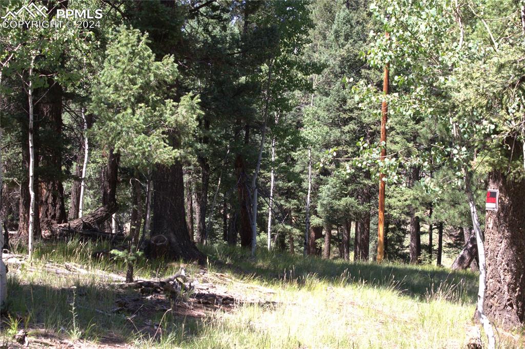 Image 9 of 21: Other