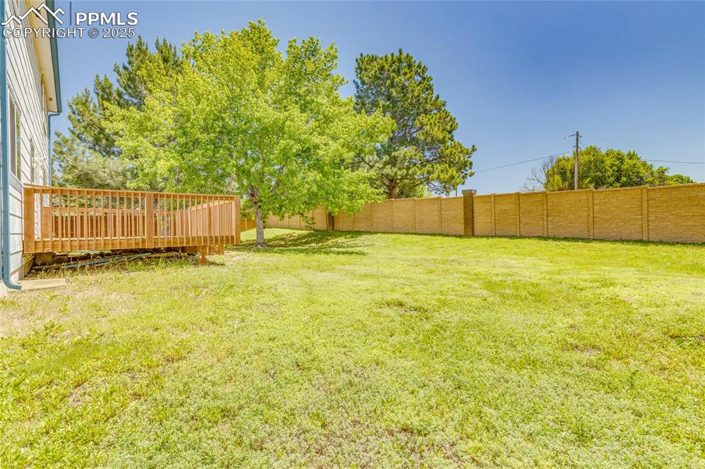 Image 41 of 46: Yard