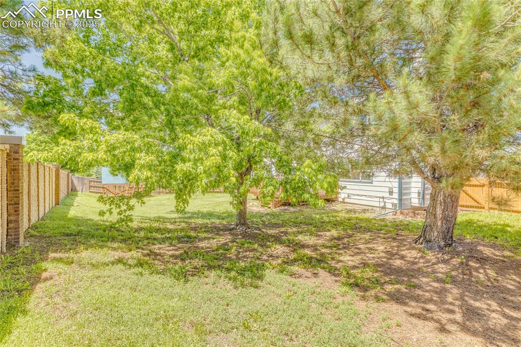 Image 44 of 46: Yard