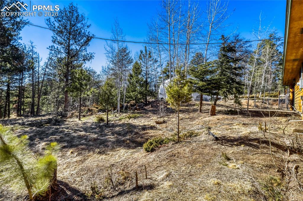 Image 29 of 34: Yard