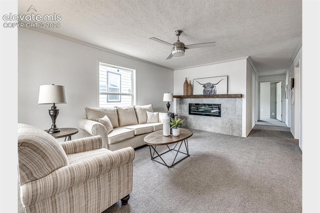 Image 11 of 13: Living Room