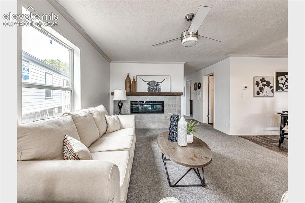 Image 9 of 13: Living Room