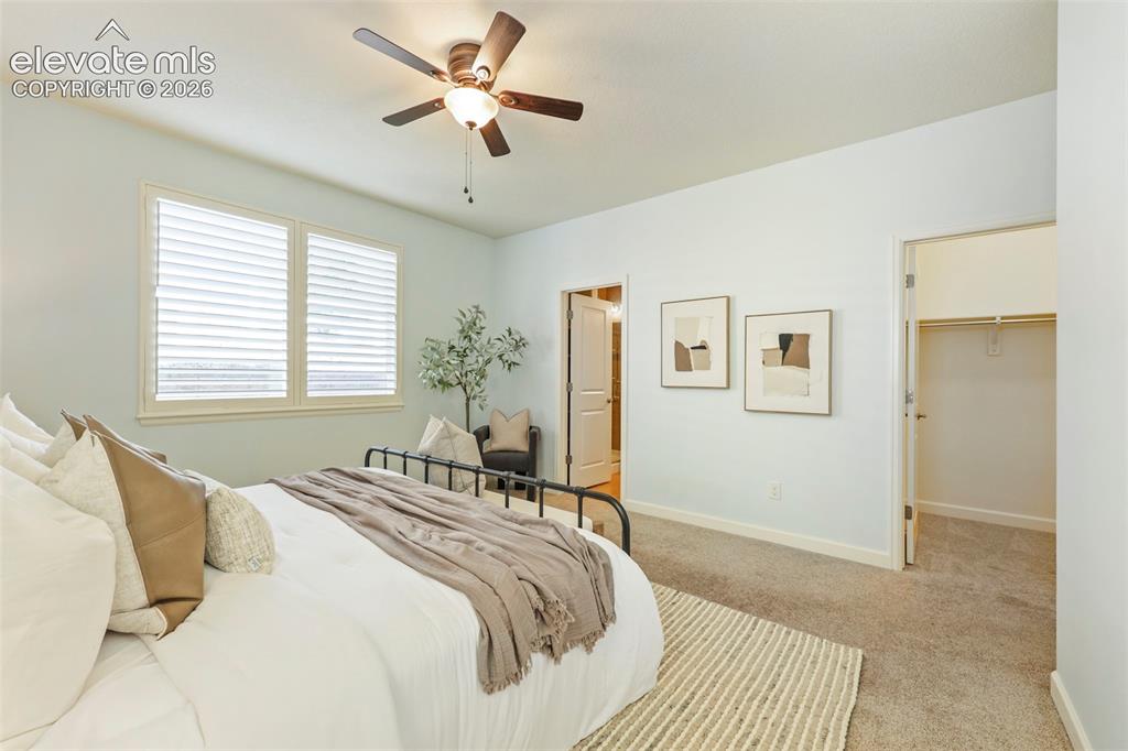 Image 22 of 49: plantation shutters throughout