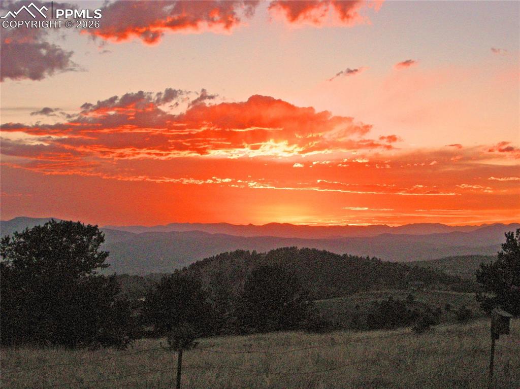 Image 38 of 50: View