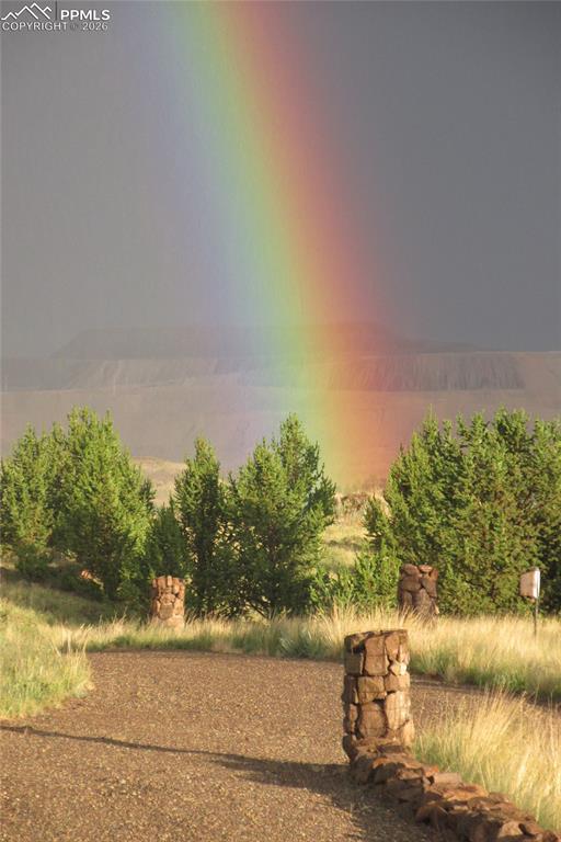 Image 48 of 50: Other