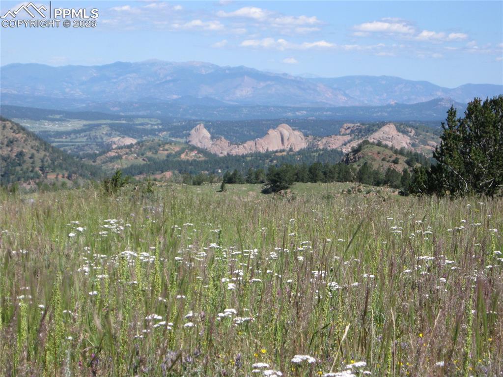 Image 49 of 50: View