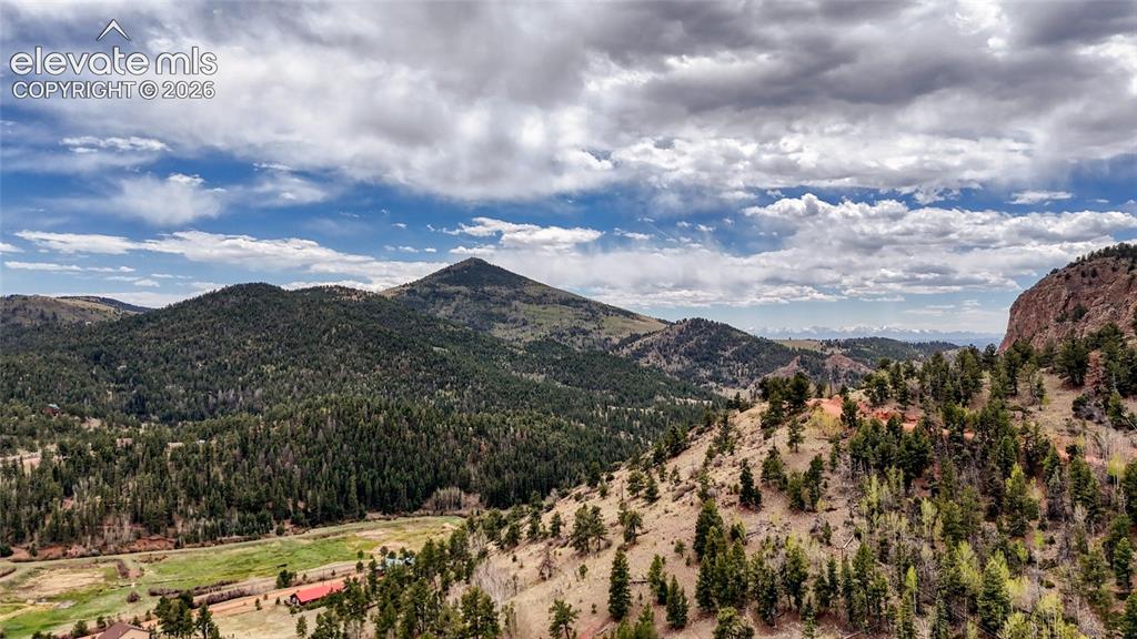 Image 8 of 16: View