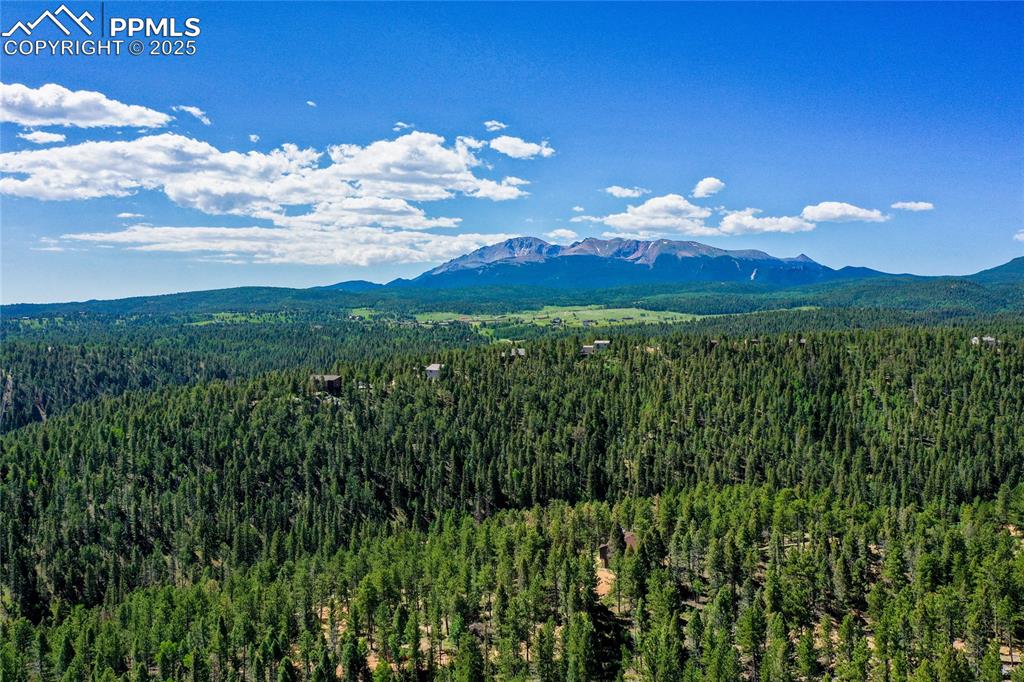 Image 14 of 39: Mountain view featuring a forest