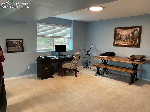 Image 38 of 39: Lower level family, office, bdrm w/seperate entry