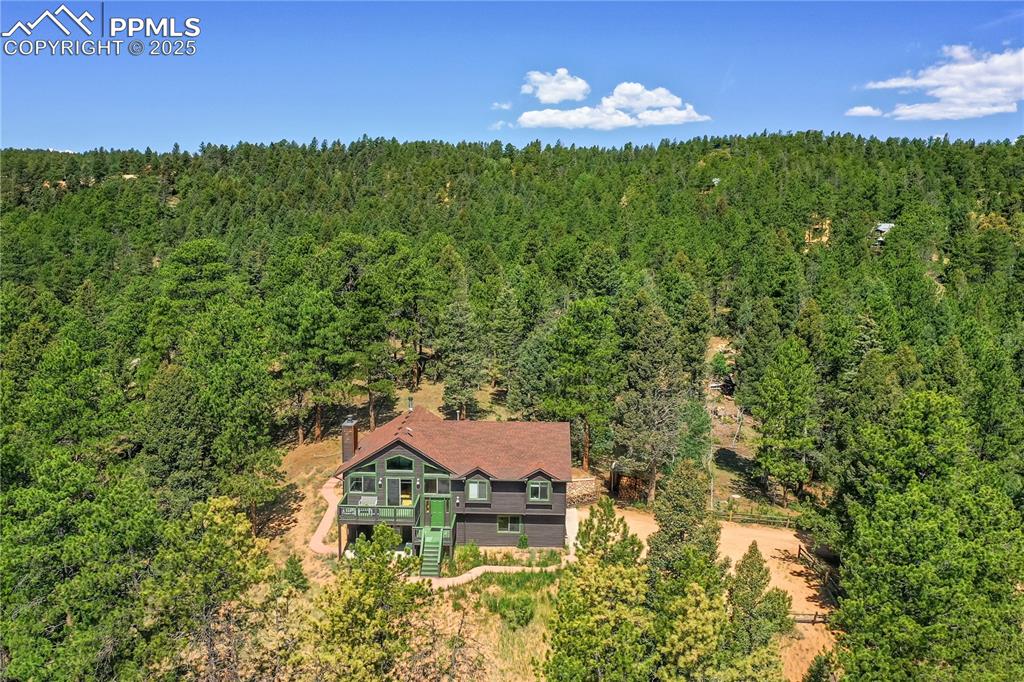 Image 7 of 39: View of subject property featuring a forest