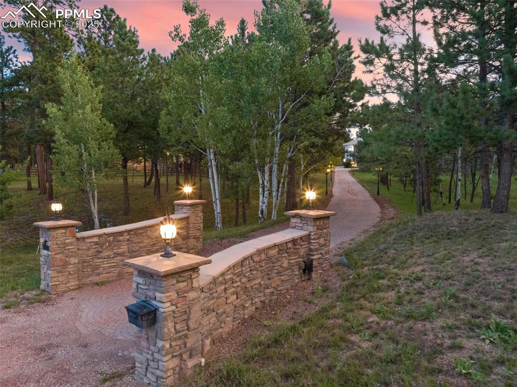 Image 48 of 50: View of entry at night with view of lighted path and tree lined drive 