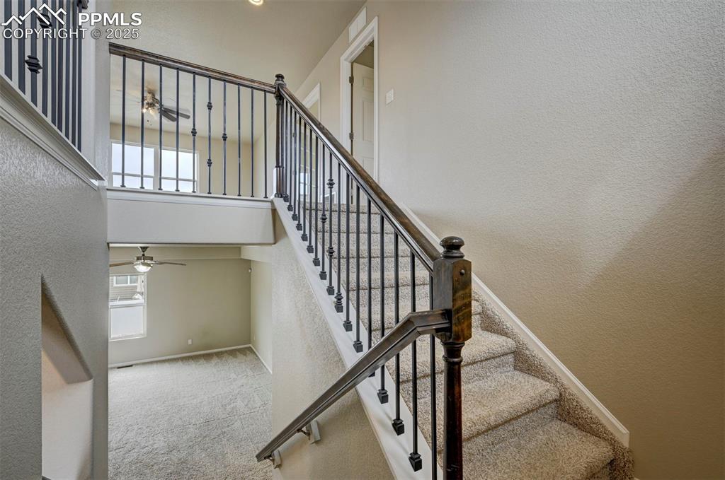 Image 19 of 37: Other