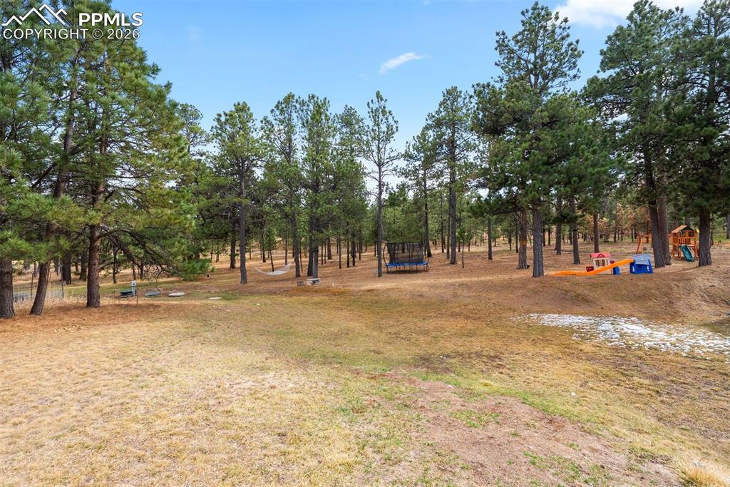 Image 49 of 50: Yard