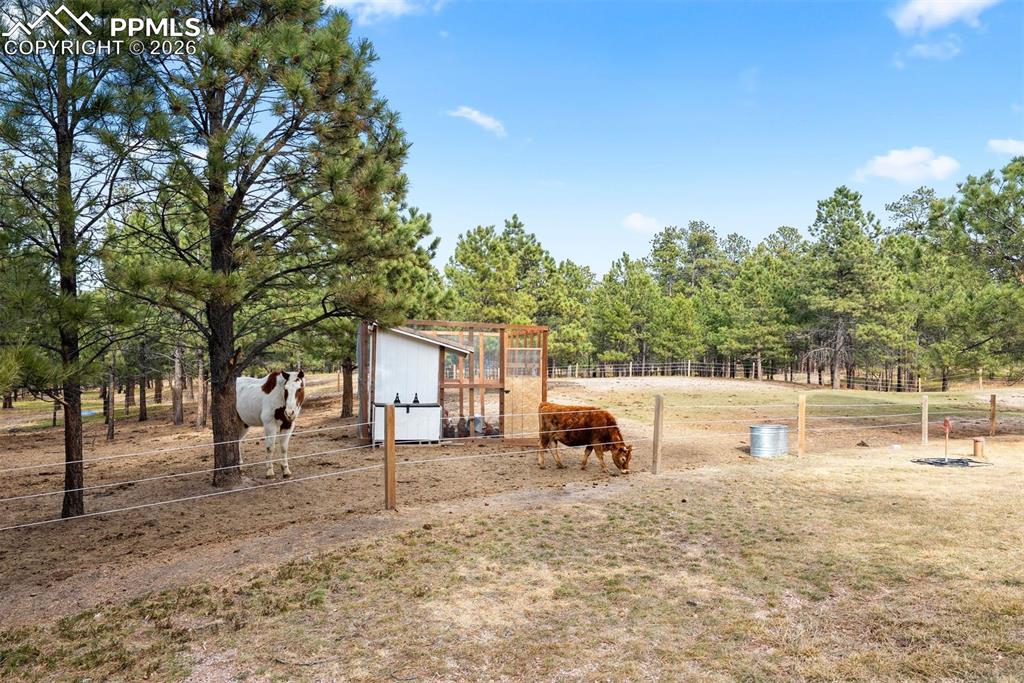 Image 6 of 50: Other