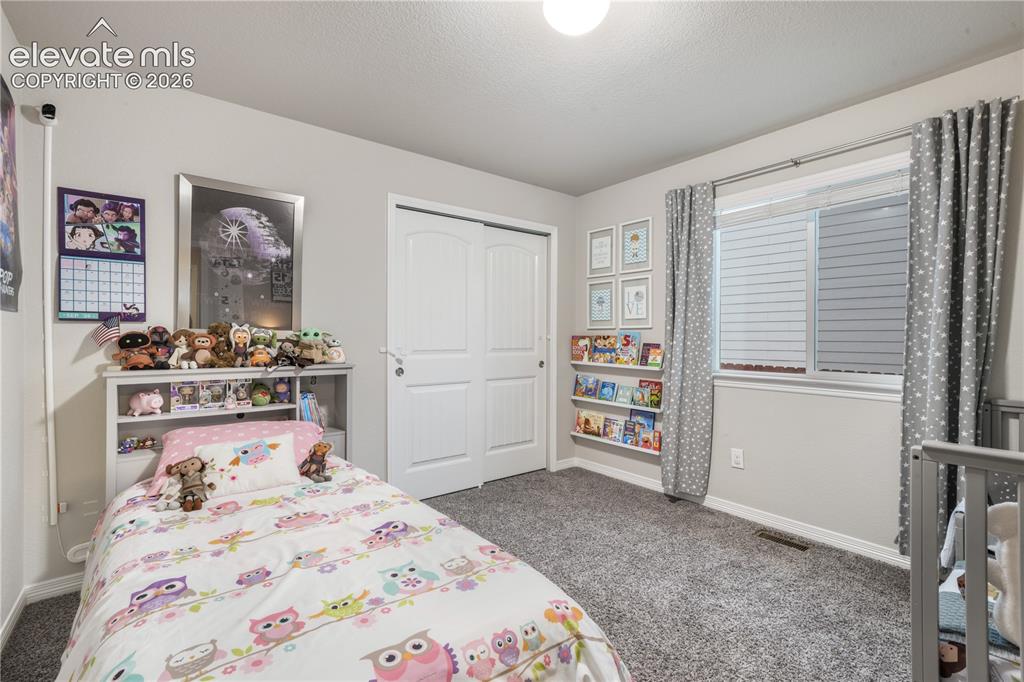 Image 30 of 50: Carpeted flooring, white trim, a double-pane window, and a white sliding cl