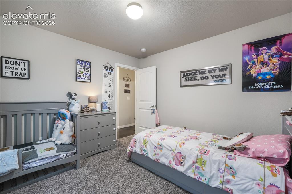 Image 32 of 50: Wall-to-wall carpeting with light gray wall paint