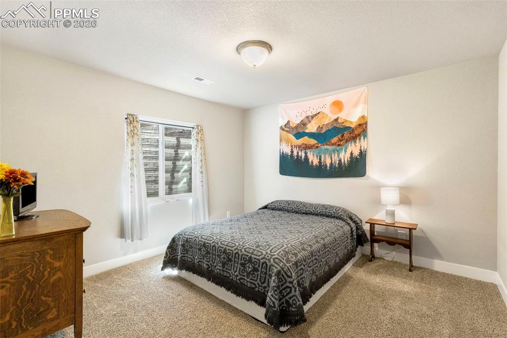 Image 20 of 28: Basement bedroom featuring a walk-in closet