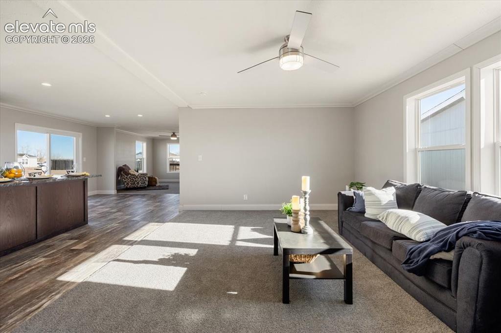 Image 10 of 24: Family Room