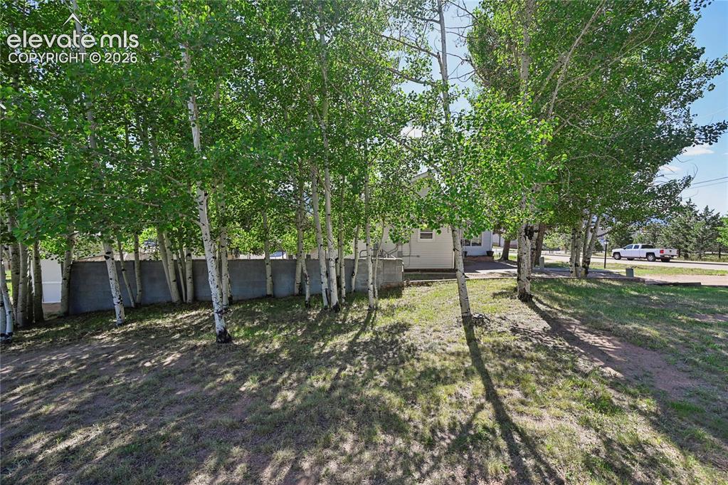 Image 34 of 45: Aspen trees in the side yard just outside the patio wall