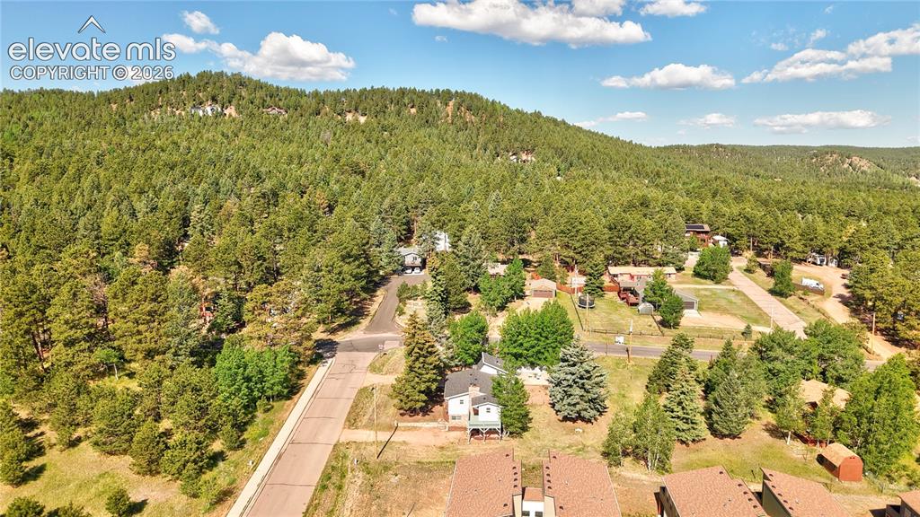 Image 40 of 45: This quarter acre property is at the edge of the woods and the edge of town