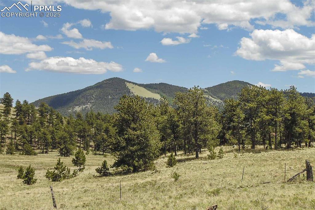 Image 10 of 42: View