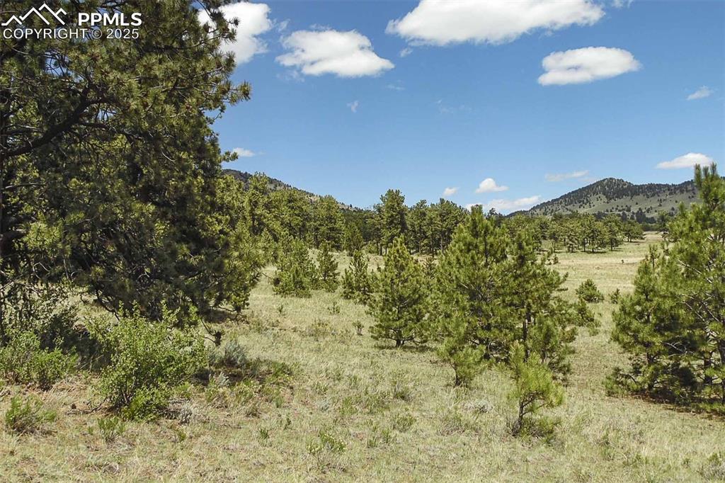 Image 11 of 42: View