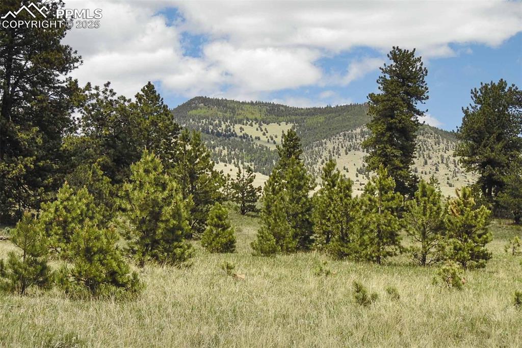 Image 12 of 42: View