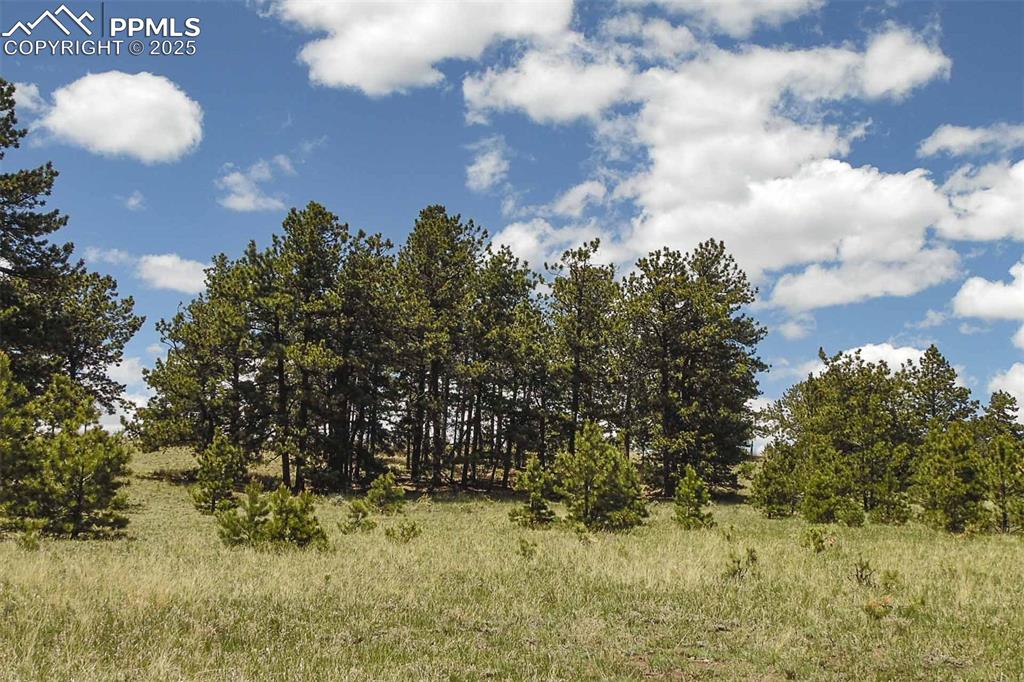 Image 13 of 42: Other