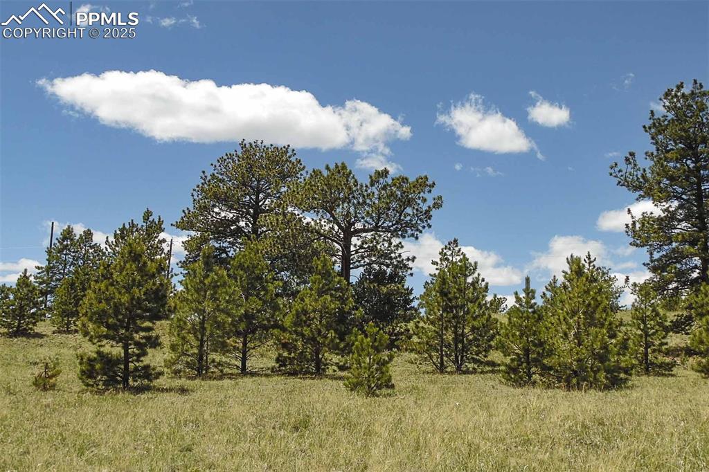 Image 14 of 42: Other