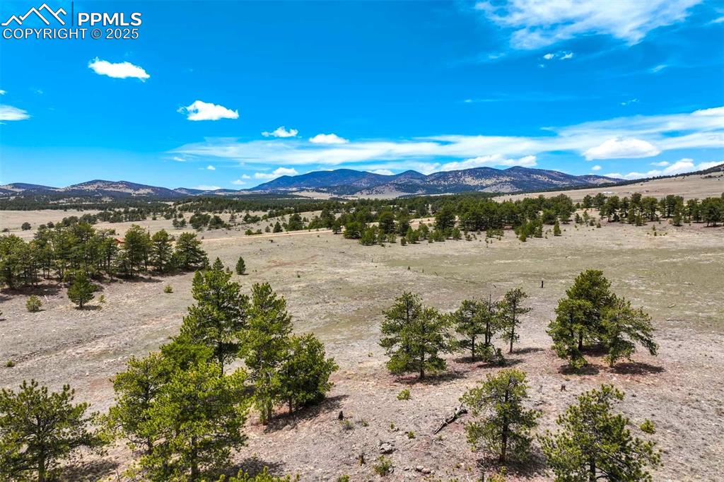 Image 21 of 42: View