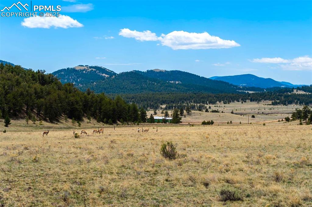 Image 25 of 42: View