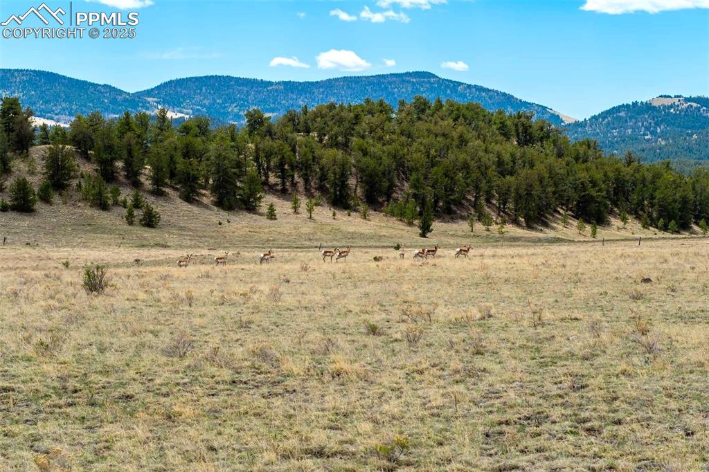 Image 26 of 42: View