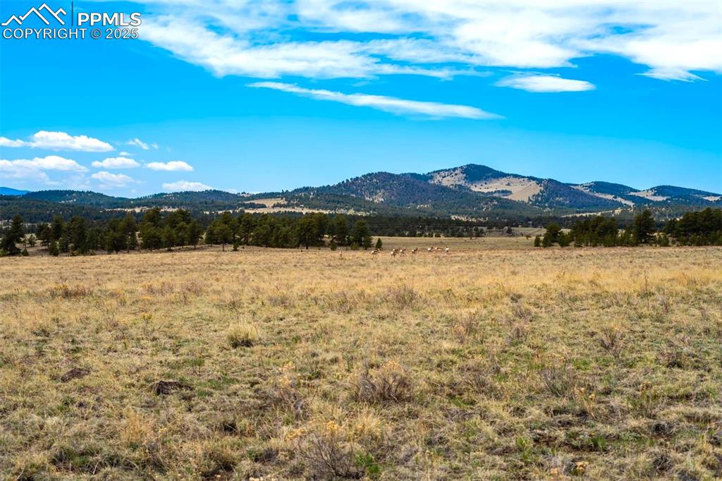 Image 27 of 42: View